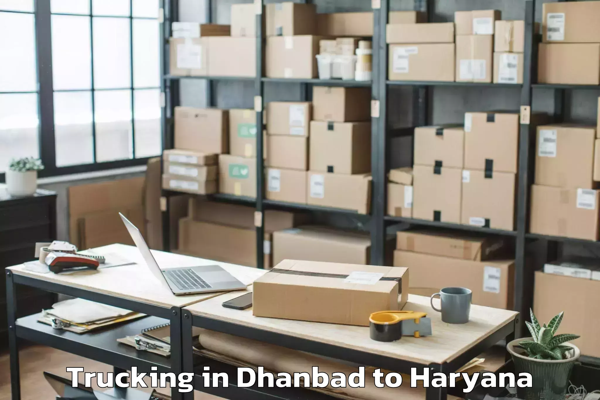 Professional Dhanbad to Hansi Trucking